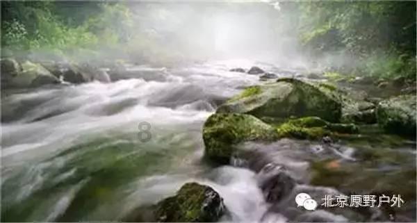 漂亮鹦鹉救援